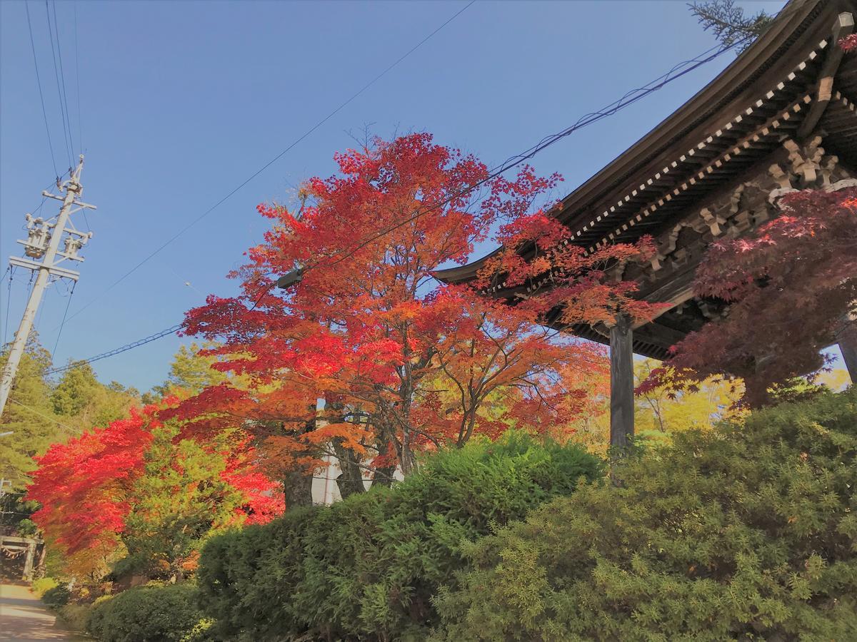 Guesthouse Daruma Takajama Exteriér fotografie